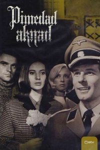  Темные окна 